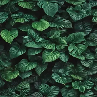 plant wallpaper iphone