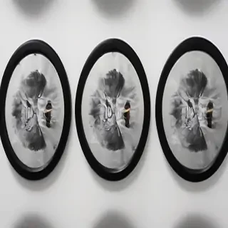 circle images