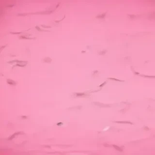 iphone wallpaper pink