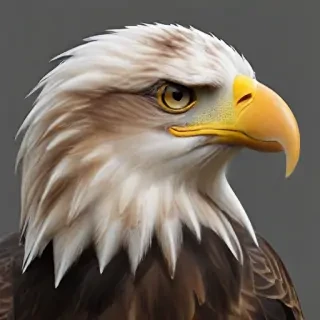 eagle transparent