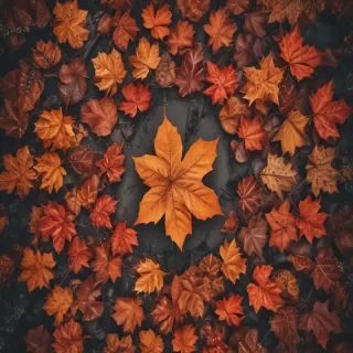 fall aesthetic wallpaper iphone