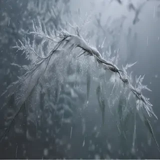 snowstorm png