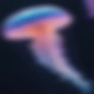 aesthetic jellyfish wallpaper