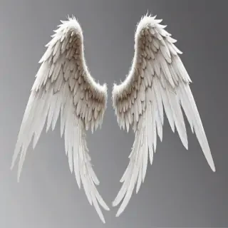 angel wings transparent background