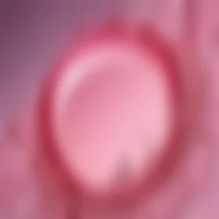 pink cover photo
