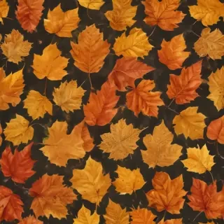 fall leaf png