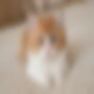 cutexyy image
