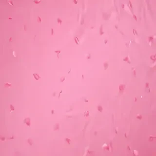 pink zoom background