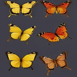 butter fly png