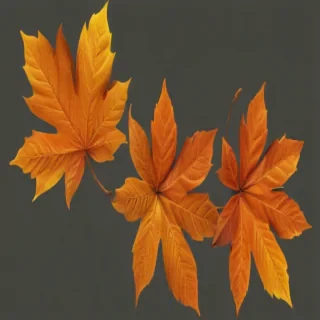 autumn leaves png
