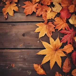 autumn background iphone