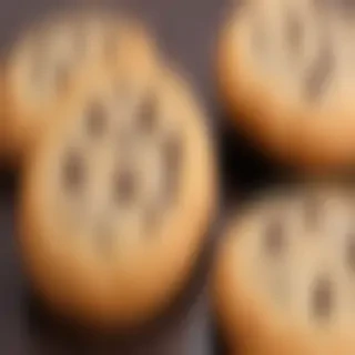chocolate chip cookie png