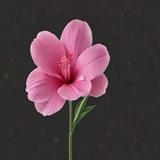 pink flower png