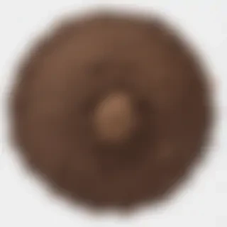 soil png