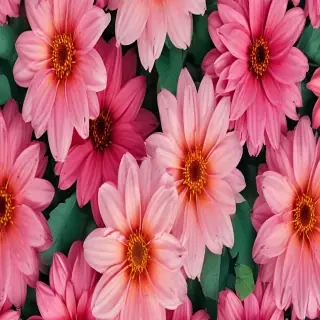 iphone backgrounds flowers