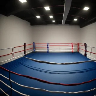 background boxing ring