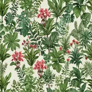 plants no background