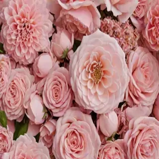 wallpaper aesthetic flowers