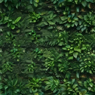 greenery background aesthetic