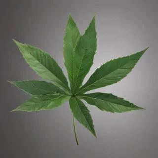 pot leaf png