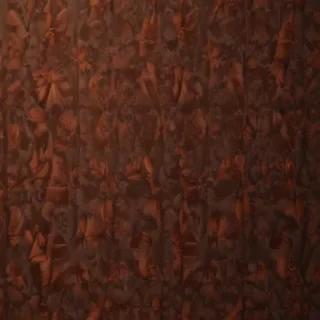 cute wallpapers brown