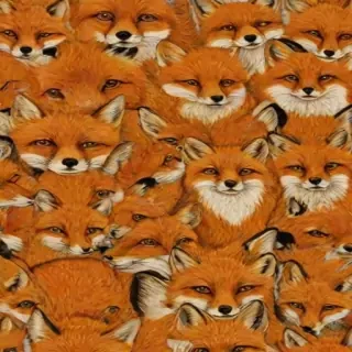 fox background