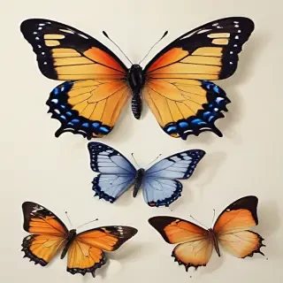 pictures of butterflies to draw