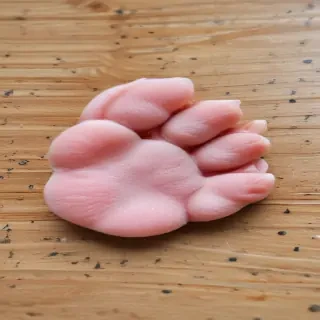 cat paw
