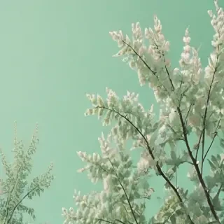pastel green aesthetic wallpaper