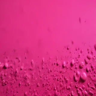 hot pink background