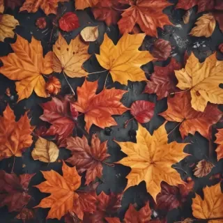 cute fall iphone wallpaper