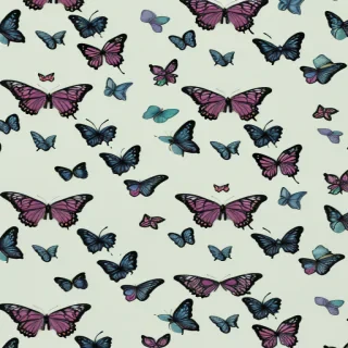 wallpaper butterfly pictures