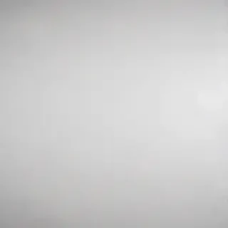 white gray background