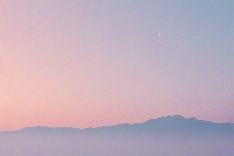 aesthetic simple wallpaper
