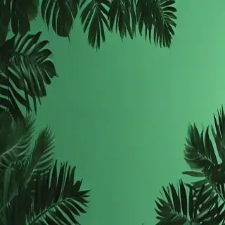 green background wallpaper aesthetic