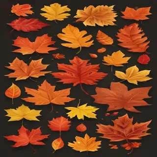 fall leaves png