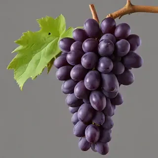 grape png