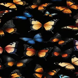 butterflies in black background