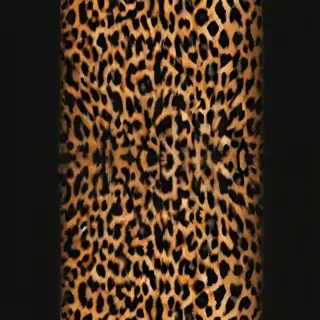 leopard print png