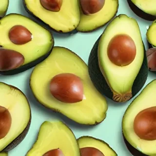avocado background
