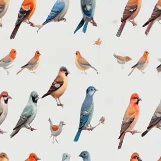 birds transparent