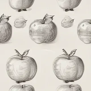 drawings of apples