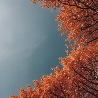 fall wallpaper iphone aesthetic
