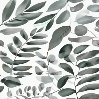 eucalyptus clipart black and white