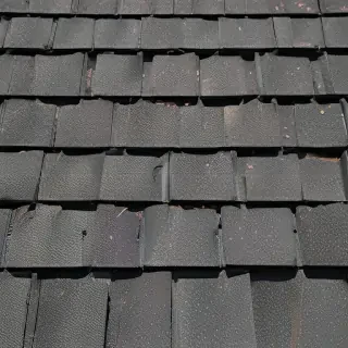 pictures of shingles