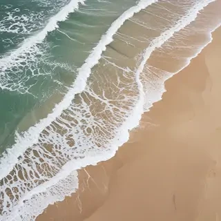 beach pictures