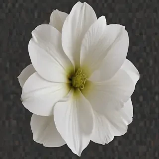 white flower png