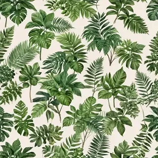 plants no background