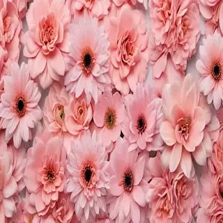 flower aesthetic wallpaper