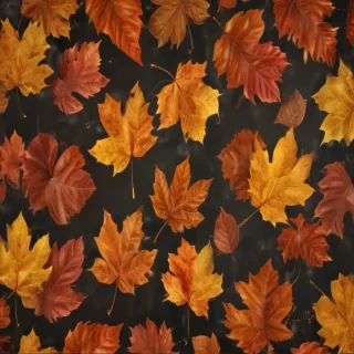 png fall leaves